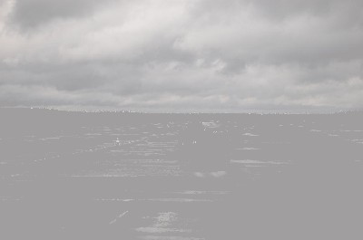 DSC_0249.JPG
